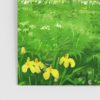 my neighbor totoros6844030 posters 2 - Anime Posters Mall